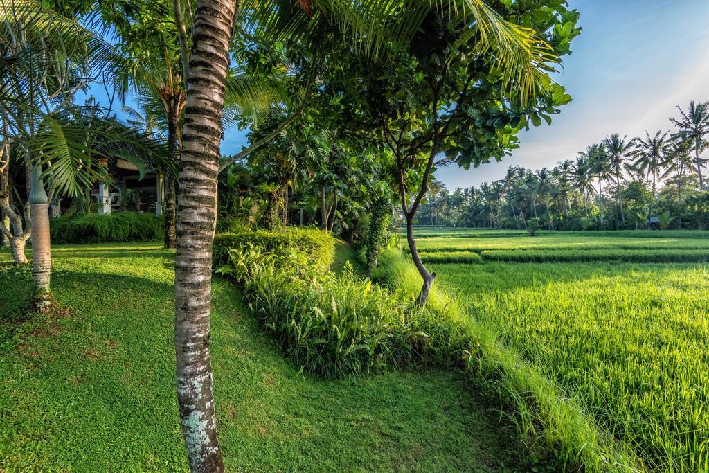 Villa Sabandari Ubud Exterior foto